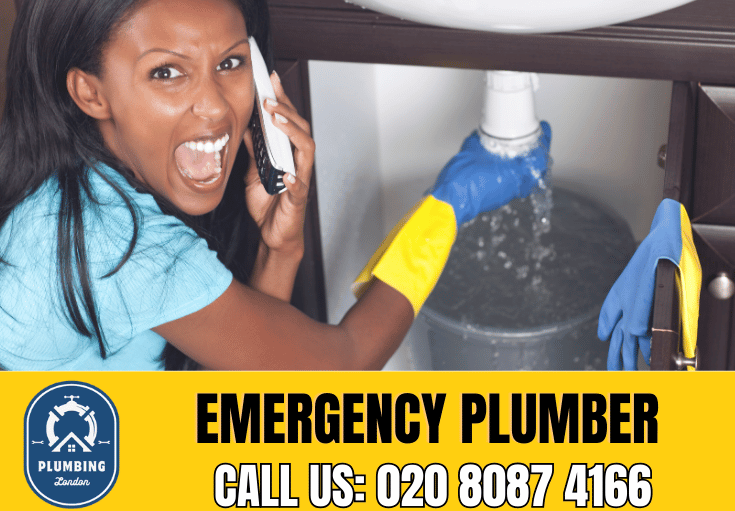 emergency plumber Shoreditch